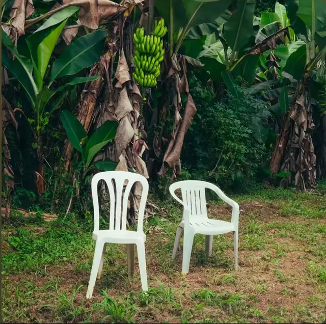 The album cover pls im sobbing ❤️😭 my big sister’s and I little chairs in the corner ❤️staring at baby me and all my family when they were around my age is going to send me off of a cliff #dtmf #badbunny #benito 