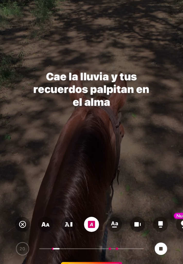 ❤️‍🩹🎶 #tipicopanameño #celsitoquintero #paraty #musicatipicapanameña 