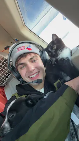 In lighter news than TikTok being banned, here’s me flying 50 rescue cats and dogs across America to find homes ❤️ 