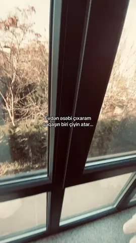 Bakavoyun dadına baxsında qaqaş😂