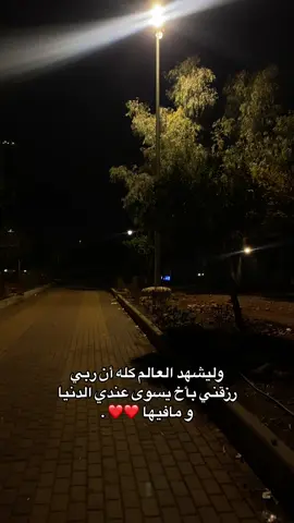 يا رب إحفظ لي أخي سَندي ❤️.#رام_الله #بيتونيا #اكسبلور #fyp #foryoupage #الحمدلله_دائماً_وابداً #اكسبلورexplore #دعاء #❤️❤️❤️ #يارب #أحبك #أخ 