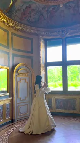 Barbie in the 12 Dancing Princesses theme <Princess Destiny> play in the castle 🏰  #flute#barbie#barbie12dancingprincesses #noralflute 