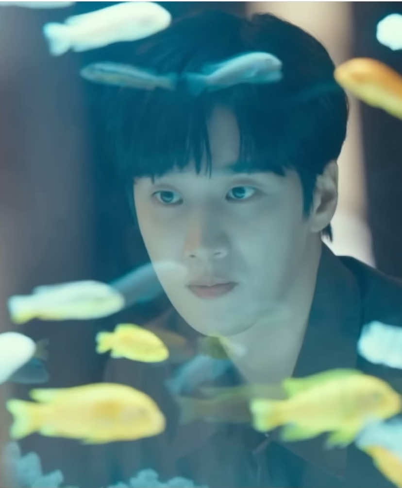 star by colde ⟡ ݁₊ . #seeyouinmy19thlife #ahnbohyun #shinhyesun #moonseoha #banjieum #fyp #star #colde 