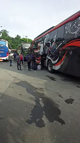 Aktivitas Terminal Di Pagi Hari #terminal #terminalbus #ayonaikbus #fypシ #poharyantomania 