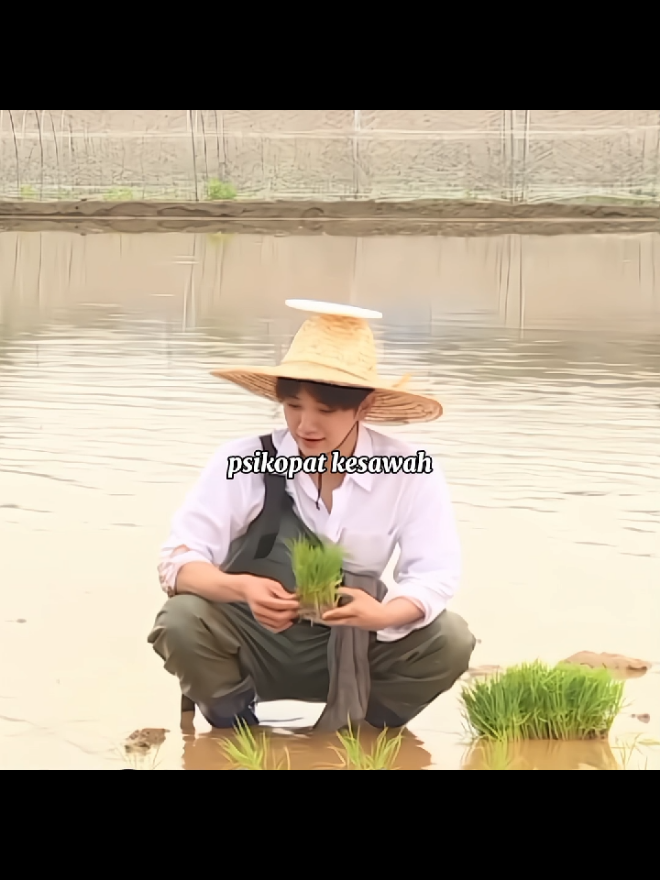 cuma JOSHUA HONG yg pake kemeja kesawah #joshua #seventeen #fyp 