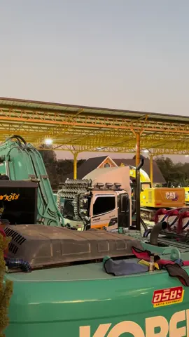 เหมียวๆ 😽 #ลูกชาวไร่🌾 #สจเจมส์ซัง #นิธิกรณ์การโยธา #โกดังเจมส์ซัง #caterpillar 