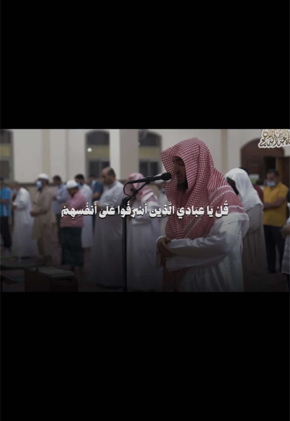 #قران #قران_كريم #quran #عبدالبديع_غيلان 