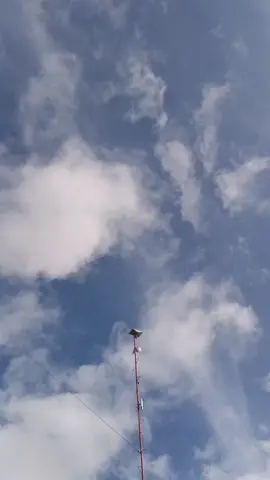 STARLINK TALAGA ANG MAGANDANG GAMITIN SA NEGUSYONG PISO WIFI #toperonblog #xybca #viral #seecommentsection #pruducts #buhaytechnician🇵🇭 #wifi #trabaholang #buynow 