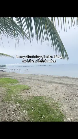 I miss biking:< #bike #cycling #livephotos #fyp 