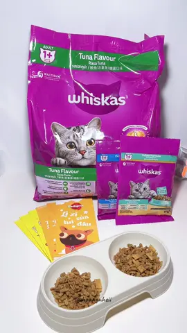 Trữ hạt để Tết mấy đứa có ăn mấy sen ơi 🥹 #hoangnheii #whiskas #thứcăn #thứcănchomèo #hạtchomèo #hạtwhiskas #food #pet #mèo #cat #đồănchomèo 