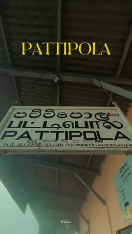 PATTIPOLA🍃 ඇස් දකින්න ආසම දේවල්... #nadeensajalanga #viraltiktok #foryoupage #fypシ #mood #calm #onemillionaudition #foryou #fypシ゚viral #pattipolastation❤ #srilanka🇱🇰 