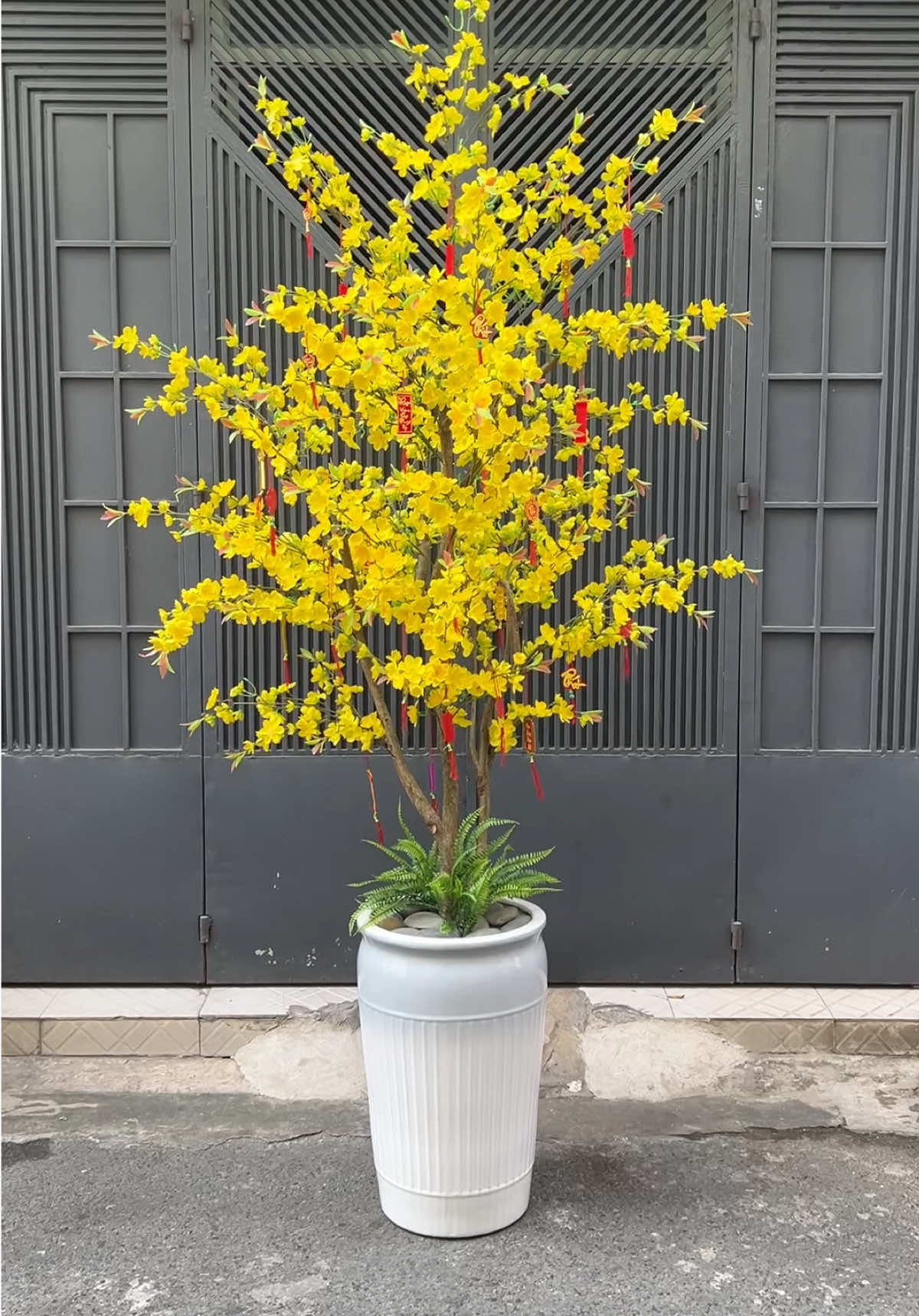 Chậu hoa mai giống thiệt tới từng milimet ạ. Cây giống thiệt đến từng chi tiết, từ bông, lá tới nụ và thân gỗ.  #câymaigiả #trangtrítết #decortet 