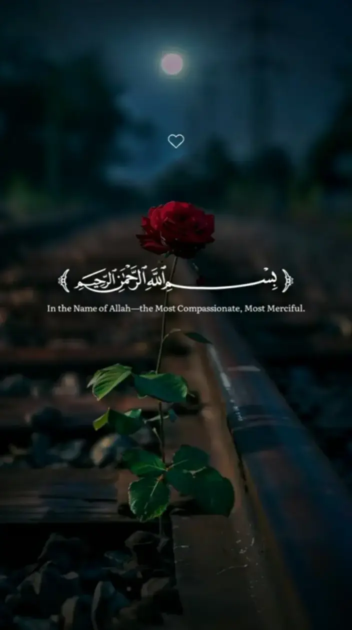 #بسم_الله_الرحمن_الرحيم #سورة_الإخلاص #سورة_الفلق #سورة_الناس #القرآن_الكريم🌺🤲 #بالقرآن_ننجح  #بالقرآن_نحيــــــــا #القران_راحة_نفسية #القرآن_الكريم_راحه_سمعك_القرآن💙🎧 #القران_نور_الحياة #القران_اطمئنان_لقلبك #قرآن_بصوت_جميل #الهم_صلي_على_محمد_وأل_محمد❤❤❤❤ #القرآن❤️ #يارب_فوضت_امري_اليك #اكتب_شيء_تؤجر_عليه #صدقه_جاريه #اللهم_صلي_على_نبينا_محمد #بالقران_حياتنا_اجمل #صدق_الله_العظيم 