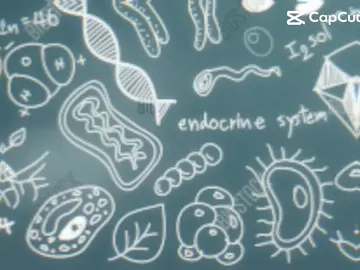 Dân chuyên sinh đâu hết rồi nhỉ 