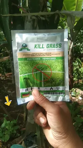 Herbisida Bubuk Kill Grass Untuk Membasmi Gulma dan Hama tanaman #herbisida #killgrass #atasi #gulma #hama #petaniindonesia🇮🇩🇮🇩🇮🇩🌿🌿 