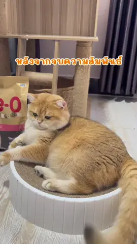 พี่เตี๋ยวเปลี๊ยนไป๋ #ก๋วยเตี๋ยวคนป่า 
