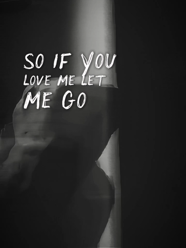 #slipknot #snuff #allhopeisgone #sidwilson #chrisfehn #jamesroot #craigjones #shawncrahan #mickthomson #paulgray #joeyjordison #coreytaylor #fyp #viral #lyrics #edit #song 
