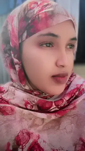 #ogdeenia🇬🇲 #shuushu cali 🇬🇲❤️💕#jubland💚💙🤍🇬🇲 