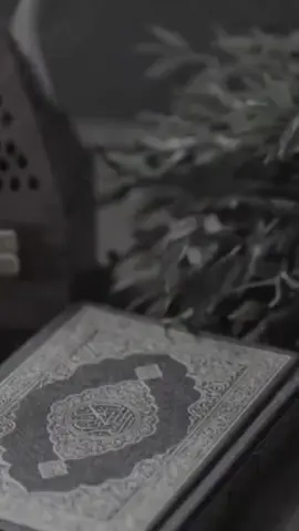 #لايكات_ياحلوين #لايكاتكم #لايك #اكتب_شيء_تؤجر_عليه🌿🕊 #القران_الكريم_راحه_نفسية😍🕋 #زيادة_المشاهدة #اتمنى10kمتابع😊😍 #انشاء_الله_يعجبكم_الفيديو🥺💜 #الأسلام #الجميع_يتخلى_عنك_الاامك🙋‍♂️ #ياسر #الدوسري_قرآن #قران ياسر الدوسري هي هات 