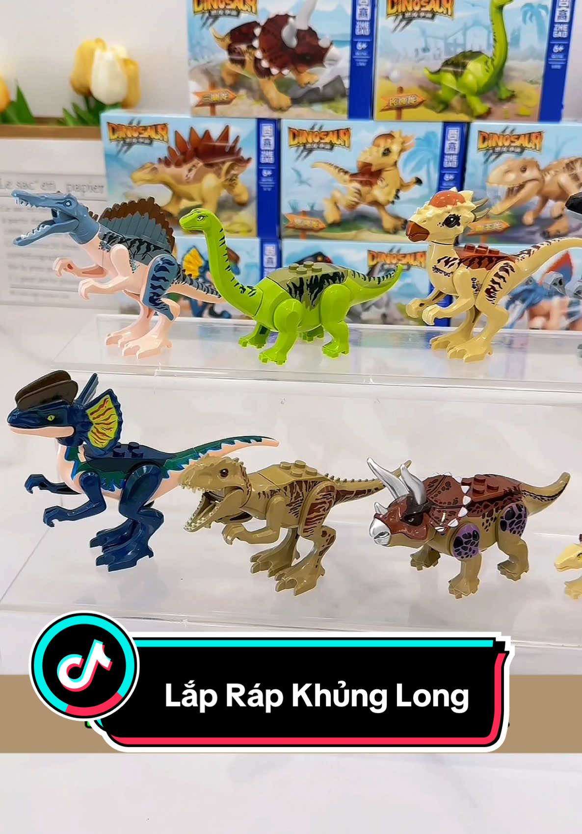 Lắp ráp khủng long nhiều mẫu 🦕🦖 #dochoi #dochoilaprap #dochoixephinh #dochoichobe #xuhuong #viral #dochoibetrai 
