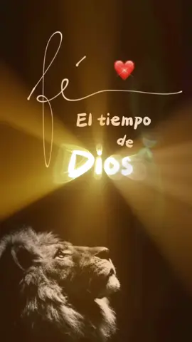 #jamás pierdas la #fé ✨🕊️ #victorjburgos #CapCut #Dios #motivacional #todos 