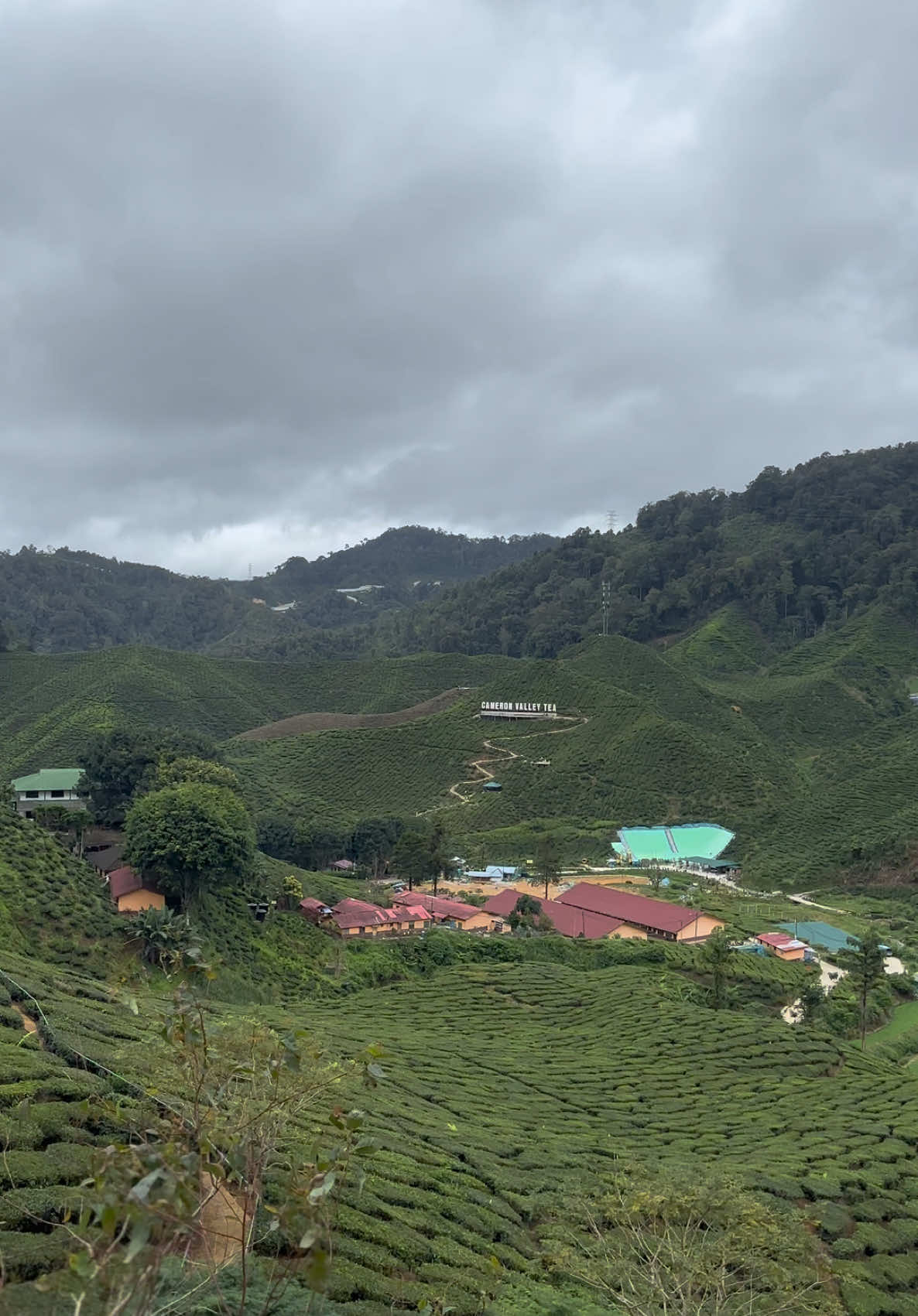 Ya Allah, jadikanlah aku wanita berhati baik; Wanita yang menjaga tutur kata agar tiap kata kataku tidak menyinggung mana mana hati. Jauhkan lah aku daripada tergolong dalam golongan manusia yang suka mengkeji ciptaanMu. Jauhkanlah aku dari hambaMu yang menguji kesabaranku. Jadikanlah hatiku lembut untuk menerima tiap sesuatu yang baik menurut agamaMu. Teguhkanlah hatiku dalam berbuat baik sehingga aku dapat berdiri di kelompok hambaMu yang paling mencintaiMu. Aku ingin menjadi hambaMu yang baik maka bantulah aku untuk melayakkan diri dalam kelompok hambaMu yang baik. Jika aku sedang berusaha, bantulah aku. Jika aku lalai, jangan biarkan aku. Kerana aku tanpaMu ibarat jasad tanpa roh, segalanya sudah tidak bermakna.  #fyp #islamicreminder #cameronhighland 