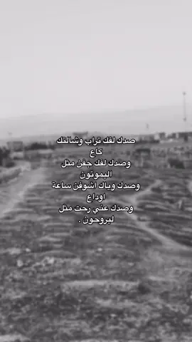 صـدكّ لفك تراب . #تلي_بلبايو#fyp#البوجواري 