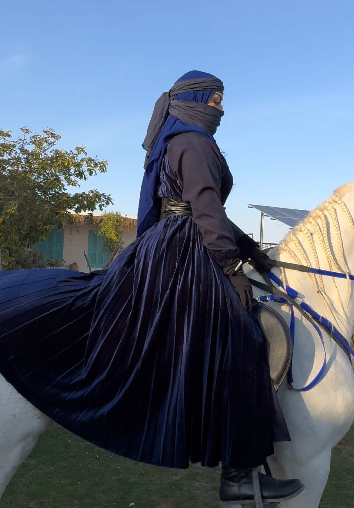 #CapCut #خيل #اكسبلورexplore #المملكة_العربية_السعودية #خياله #خيل_عربي ##ماشاء_الله 