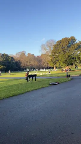 Why is this so warm and wholesome #ireland #notrendingaudio #nottrending #irelandtiktok 