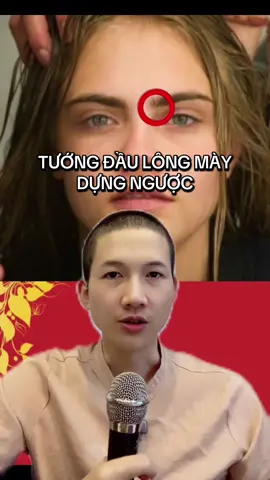 Tướng đầu lông mày dựng ngược