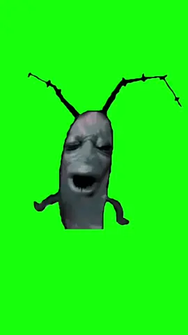 #duet cùng @I Green Screen Things #plankton 