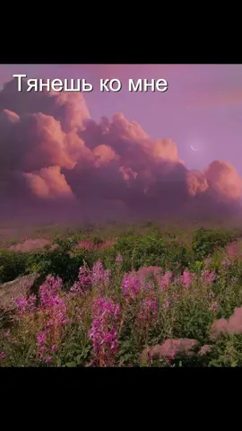 Розовые волосы до плеч #дора #dora #альбомдоры #даша #lovesongs #core #твич #рок #кьютрок #2021 #розовыеволосы 