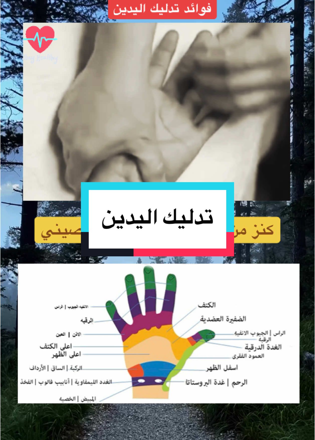 تدليك اليدين #طبيب_تيك_توك #علاج #طبيب_ععامة #معلومات_طبية #اعشاب_طبيعيه_فوائد #فوائد #نصائح_مفيدة #صحة_عامة #تيم #اكسبلور #علاج_بالاعشاب #طب_صيني #fyp #viralllllll #foryou #fypツ #منارة_المعرفة🥀 #علاج_طبيعي #اعشاب_طبيعيه #for 