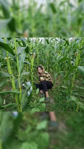 #garden #harvesting #build #fruit #shorts 