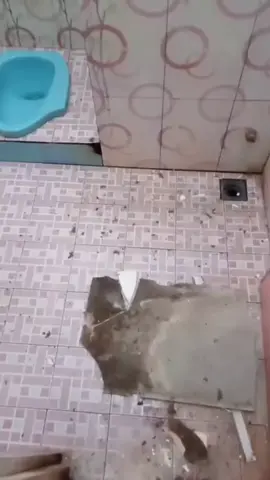 BEN 🙏 #fy #cat #water #fall #bathroom #funny #poorcat 