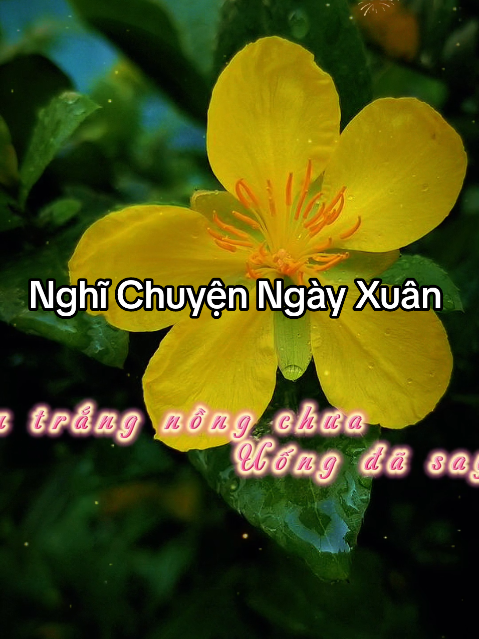 Hết mùa đông nắng xuân lại về... _Nghĩ Chuyện Ngày Xuân_ ST: NS Hàn Sinh TB: Cs Trúc Anh #nghichuyenngayxuan #TrucAnh  #nhacxuan #nhacxuanhaynhat  #xuan2025  #tet2025  #tamtrang  #amnhacvacamxuc  #mauCapCut  #anyen301 