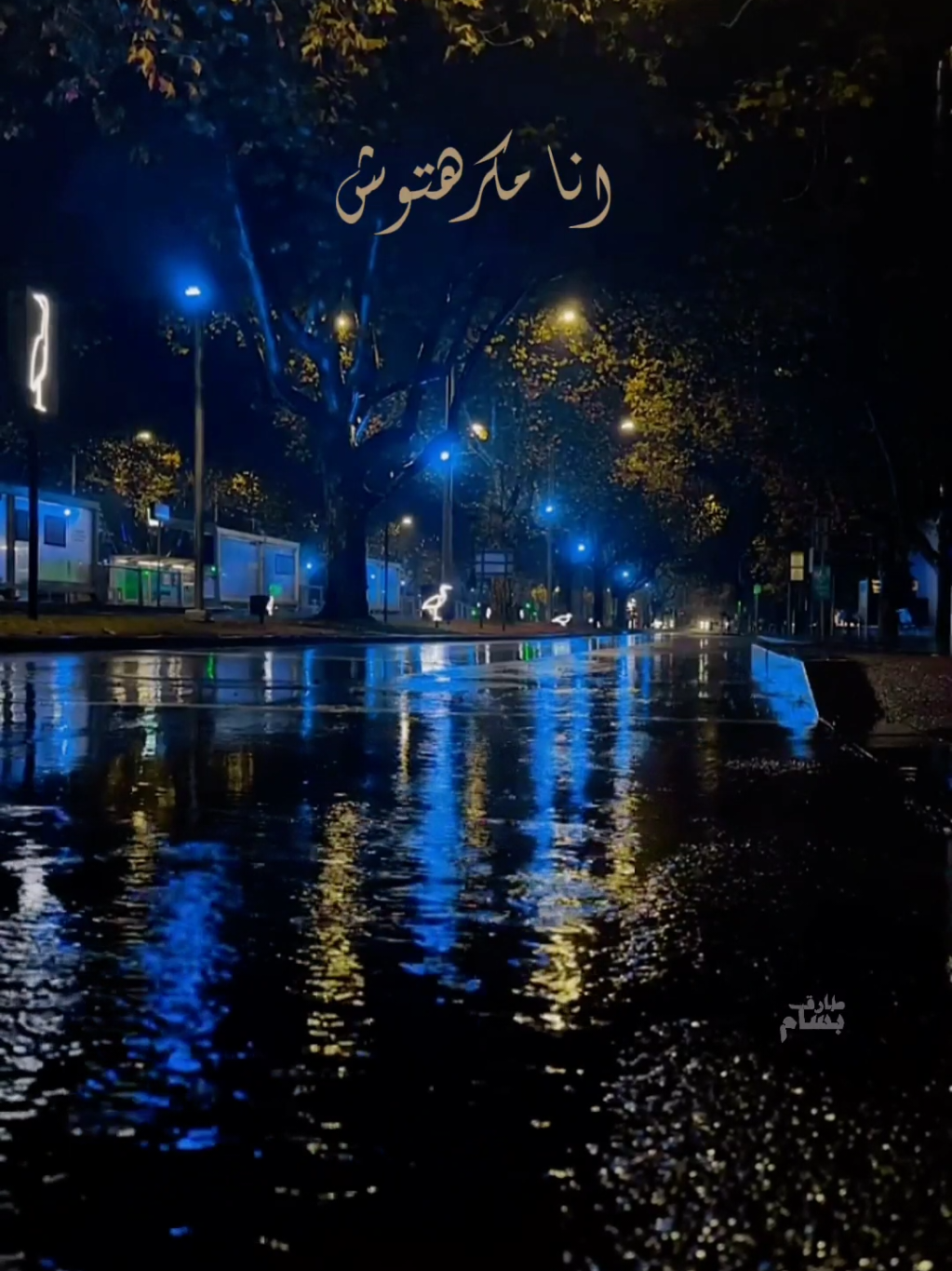 انا مكرهتوش 🖤 #تامر_عاشور #الالبوم_الجديد ##مكرهتوش #اغاني #2025 #حالات_واتس #حزن #fypシ゚viral #povs #fyyyyyyyyyyyyyyyy #pov 