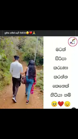 🥺💗✨@🇱🇰 𝚃𝚑𝚒𝚔𝚔𝚊 🇦🇪 #fyppppppppppppppppppppppppppppppppppppシシ #viralvideo#newtrend#fyppppppppppppppppppppppppppppppppppppシ🦋#sripadaya😍🇱🇰❤️🙏 