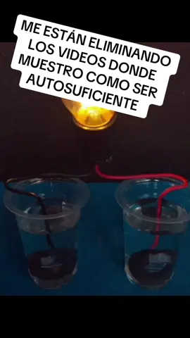 ✅ÚNETE AL GRUPO EN EL LINK DE MI PERFIL PARA QUE RECIBAS TODA LA INFORMACIÓN  #solar #paneles #panelessolares #electricidad #renovables #energia #energiasrenovables #DIY #instalacion #energiaalternativa #turbina #turbinaeolica #eolica #hidroelectrica 