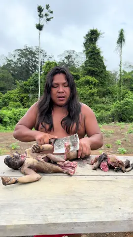 As ONGs não deixam os Indígenas evoluírem 