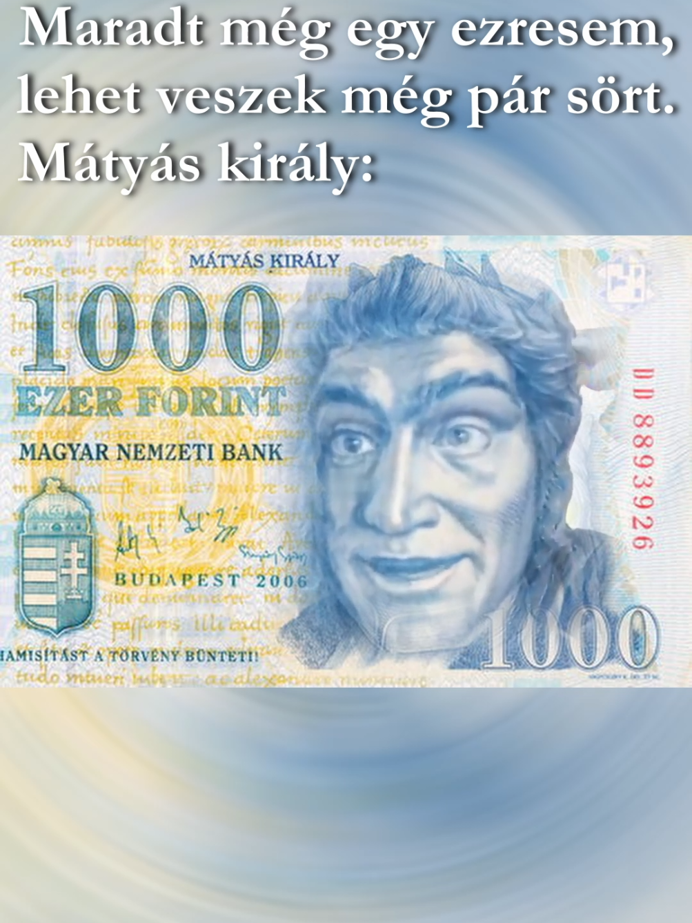 Jól jönne egy lebeszélős Mátyás király neked is?🤔 #vicces #magyarmemek #hungarianmeme #magyarország #Hungary 