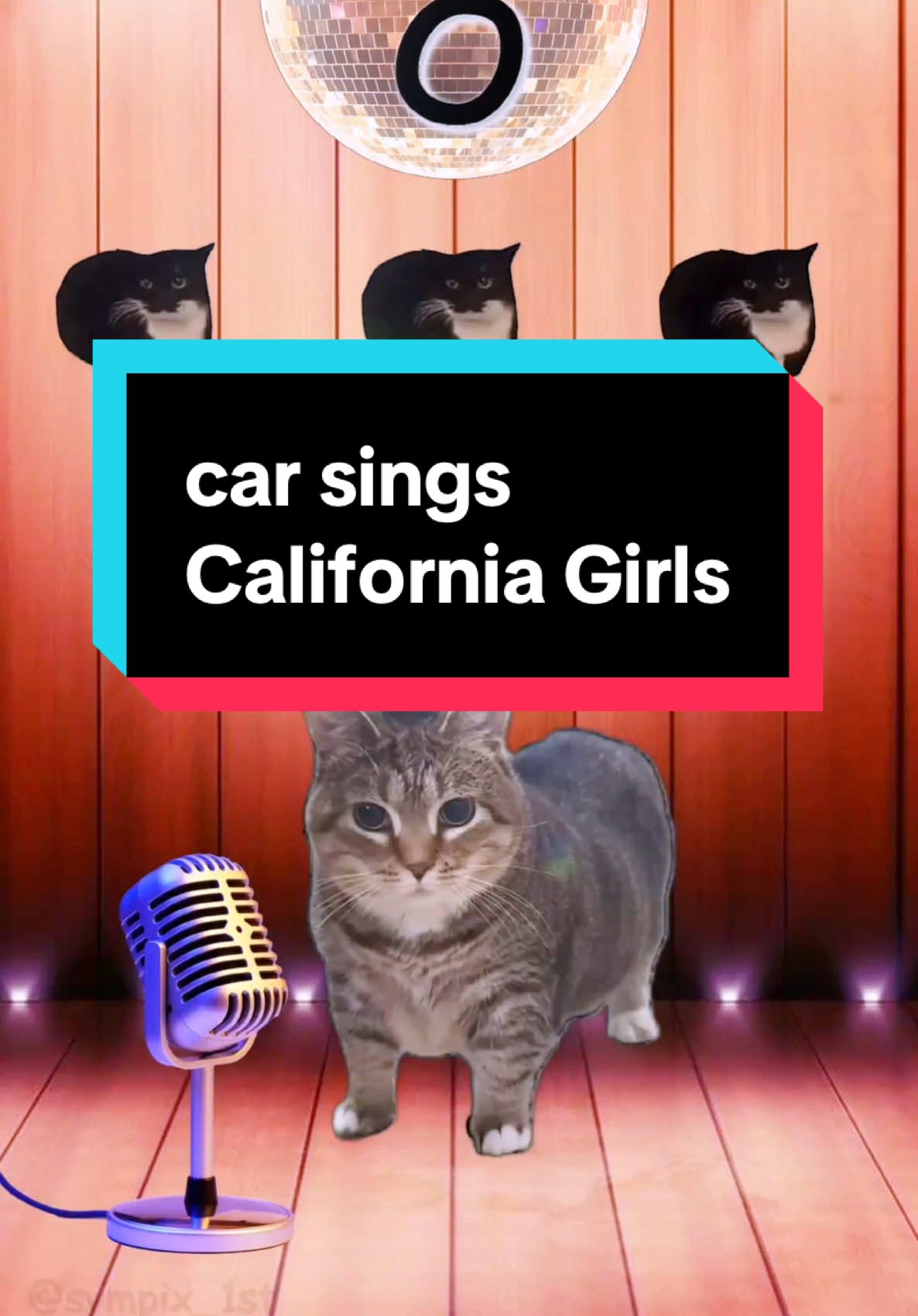 car sings California Gurls #oiiaiiooiiai #brainrot #car #cat #kadse #fyp @Ethel the OIIA Cat 