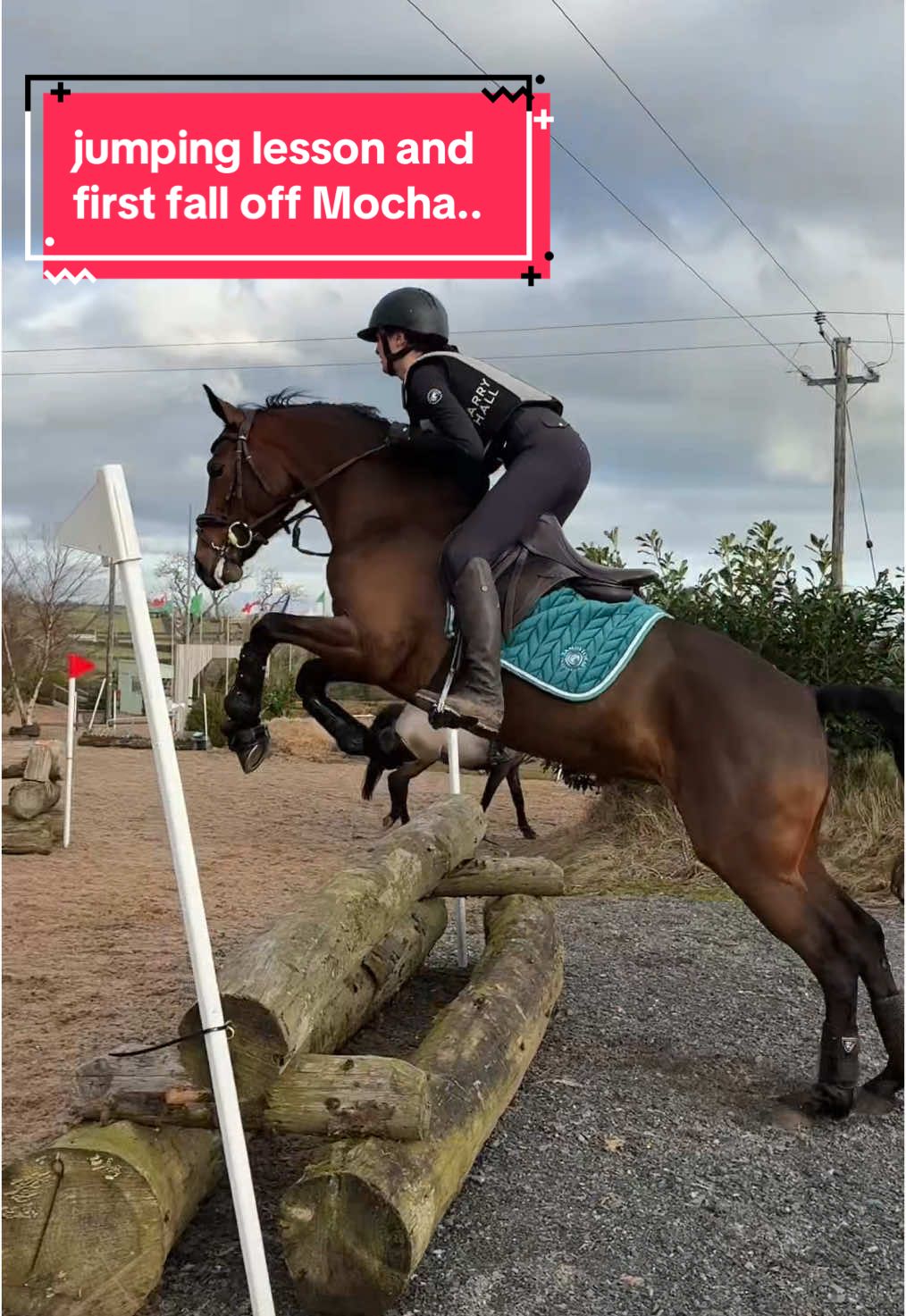 first fall off Mocha..completed it mate ✅ (She caught me so off guard I really think I could have sat it but I was not ready😭🙏🏻) #equestrian #equine #horsegirl #horsetok #horsesoftiktok #horsebackriding #equestrianlife #equestrianvibes #foryou #abcxyz #fyp 