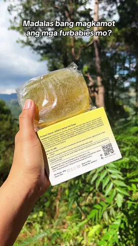 Madalas bang magkamot ang mga furbabies mo? #akiika #akiikaherbalpetsoap #herbalpetsoap #petsoap #furbabies 