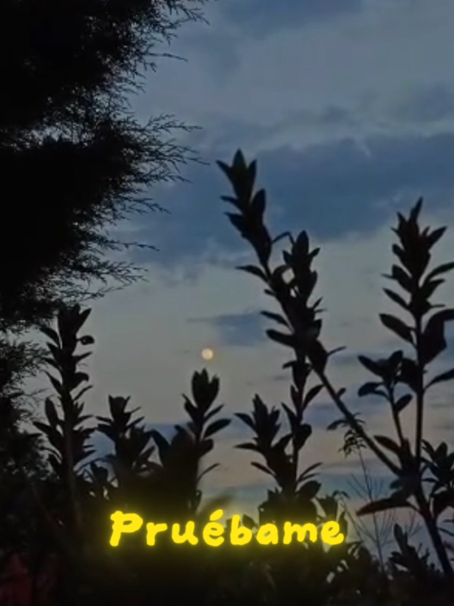 subiendo una canción de josean log por día #viral #fyp #spotify #cancion #pruebameati #joseanlog @Jósean Log 