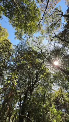 La Paz que siempre necesito, la encuentro en Dios a través de la naturaleza 🍃