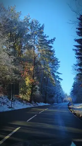 #الدنيا #ماكو_شي_صدك_بدنيا #احمد_الوائلي #الوائلي #الشيخ_الوائلي #الوائلي_روح_المنبر #الوائلي_روح_المنبر_العراق #دررالوائلي #خذلان_خيبة_وجع #روائع_الكلمات #روائع_الفن_العراقي🇮🇶🇮🇶♥️♥️ #الشيخ_احمد_الوائلي_رحمه_الله #شيعه_الامام_علي #خيبةأمل🖤 #ألم #اللهم_صلي_على_نبينا_محمد #انا_لله_و_انا_اليه_راجعون #رجب #2025 #الغربة #طريق_الجنة💚 #علمتني_الحياة #الدنيا_علمتني #انحن_في_هذه_الدنيا_حقائق #وهم #تنتهي_قصه_وتبدأ_الاخرى_💔💔 @yasmina @yasmina @yasmina #تصويري #يارب_فوضت_امري_اليك 