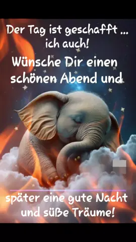 #gutenacht #schlaftgut #fyp #bild #foryou #elefant #tik_tok 