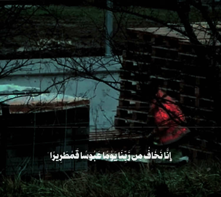 #قران #يارب_فوضت_امري_اليك 