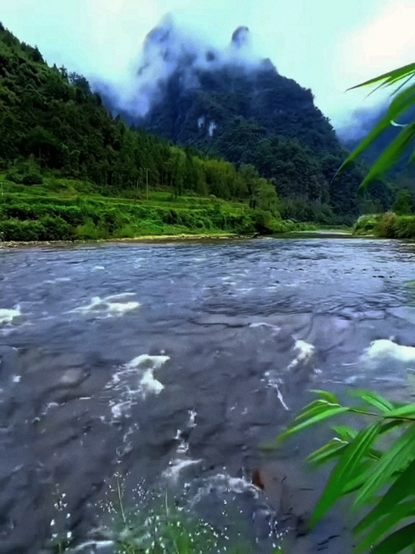 #مساء النور 🌷🌷